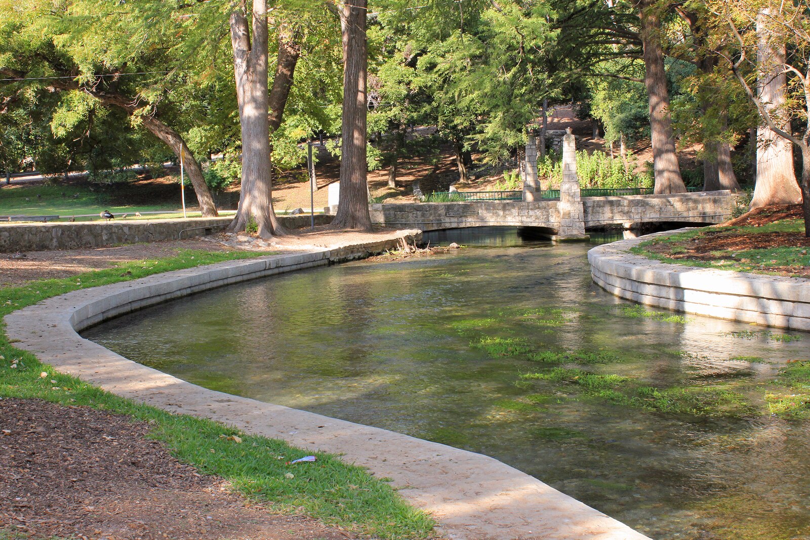 Comal River flowing through Landa Park, New Braunfels